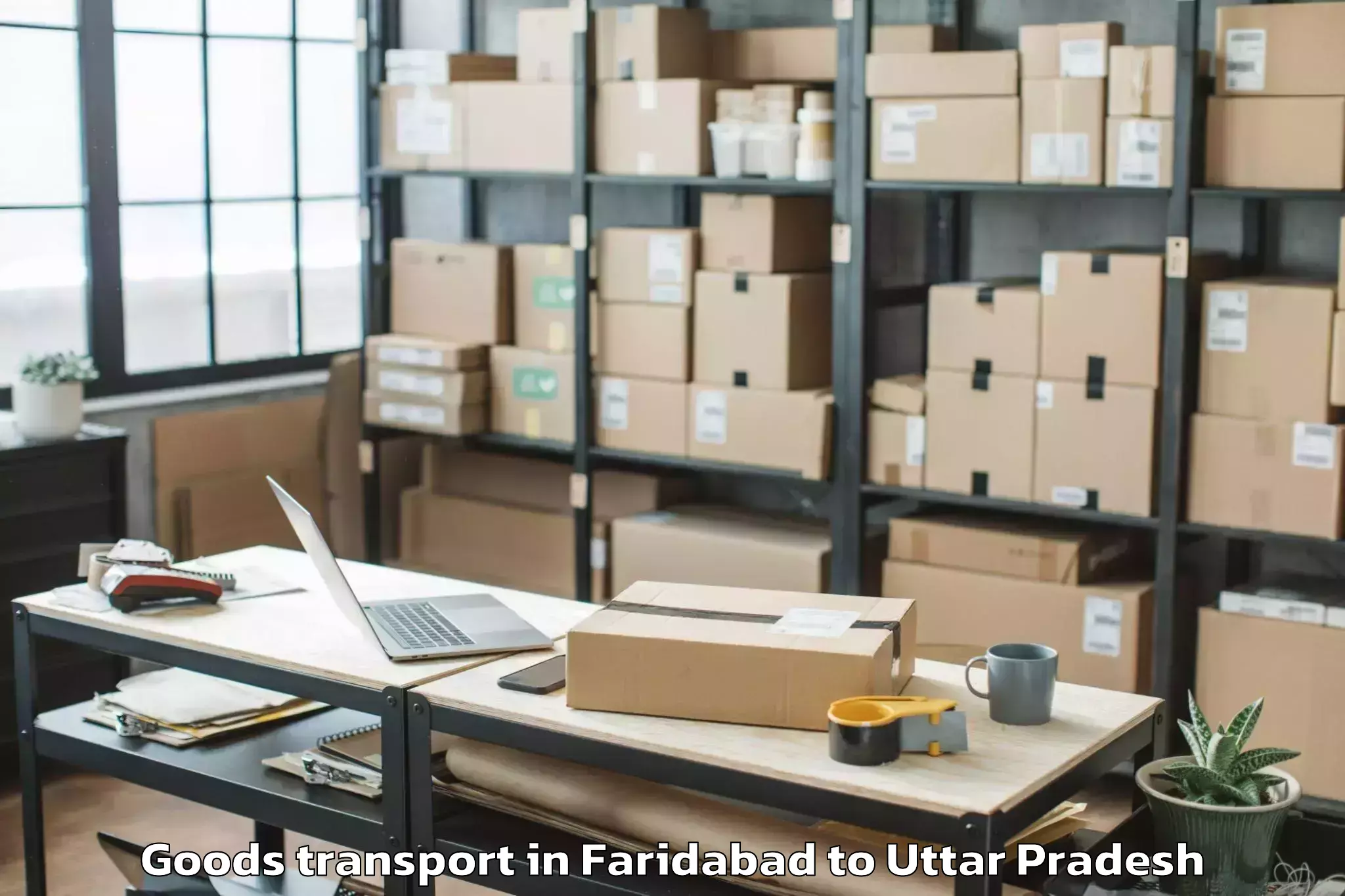 Faridabad to Gardens Galleria Lucknow Goods Transport